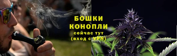 гидра Бородино
