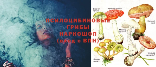 гидра Бородино