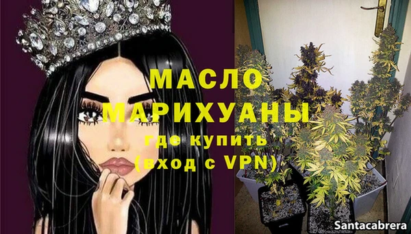 гидра Бородино